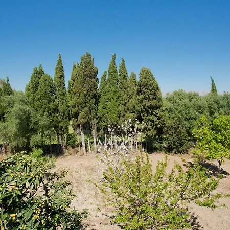 Cifre Villa